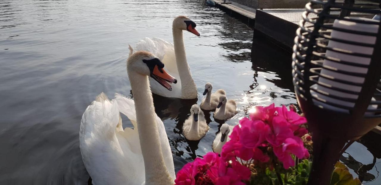 Out Of Amsterdam, River Apartment Close To City Broek in Waterland Esterno foto