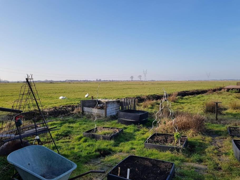 Out Of Amsterdam, River Apartment Close To City Broek in Waterland Esterno foto