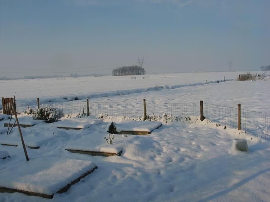 Out Of Amsterdam, River Apartment Close To City Broek in Waterland Esterno foto
